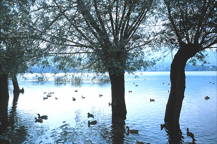 Parco di Avigliana - il Lago Grande