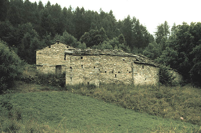 Cugno Rifero