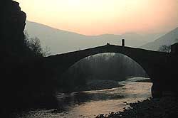 foto P. Tirone