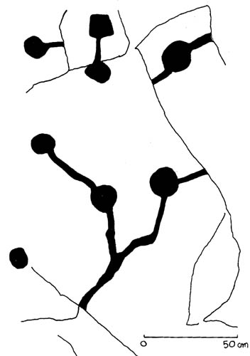 Susa - Terme Graziane